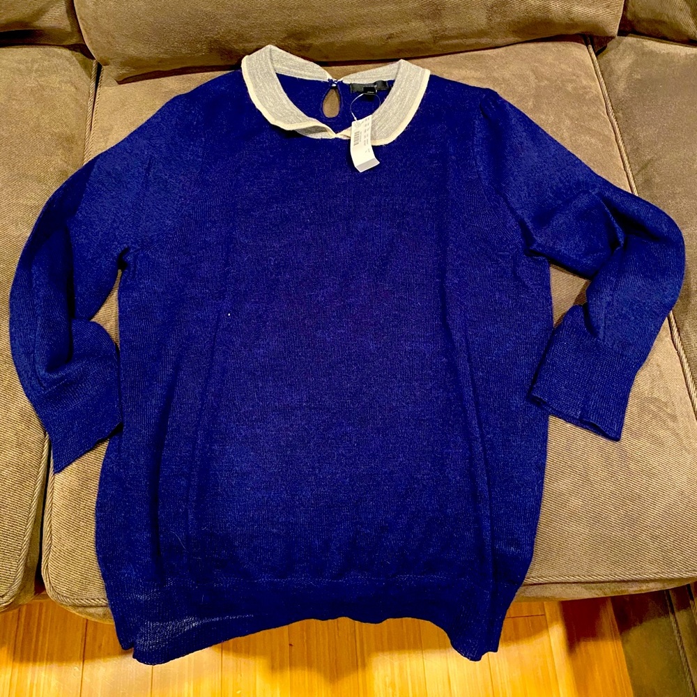 J Crew sweater